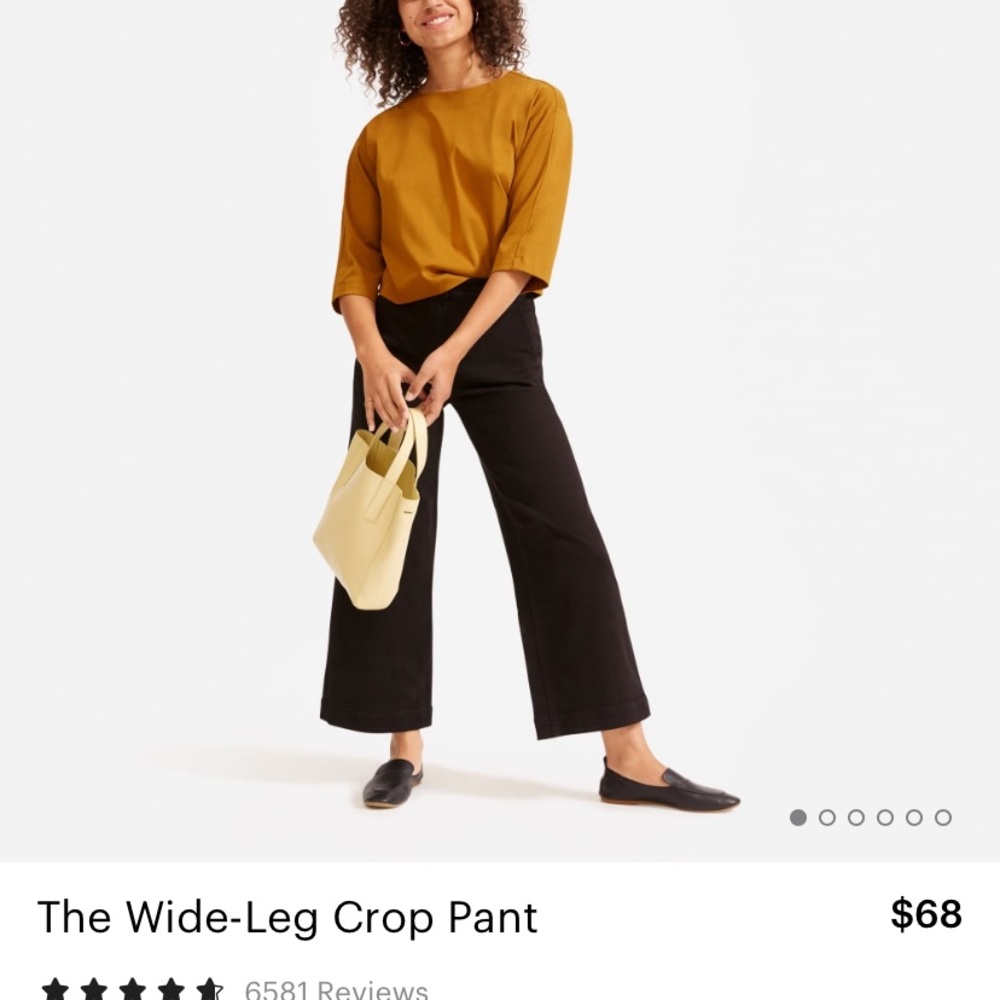 Everlane Wide Leg Crop Pants